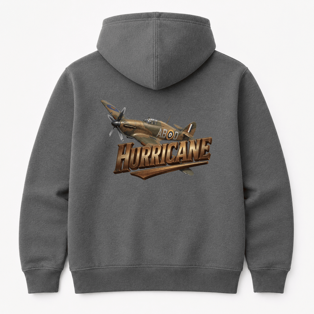 Gray hoodie with a vintage airplane graphic and 'Hurricane' text on the back against a white background