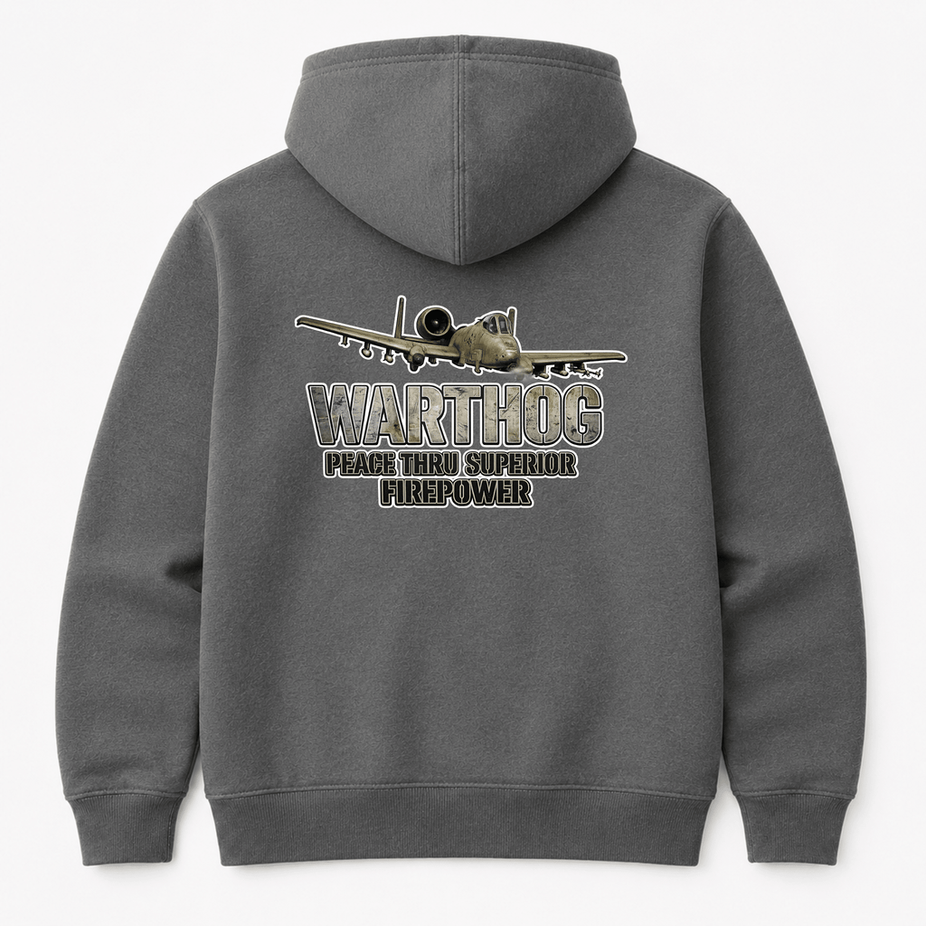 Gray hoodie with airplane graphic and text on the back against a white background